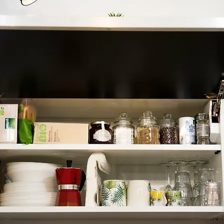 Reina Marina Las Palmas de Gran Canaria